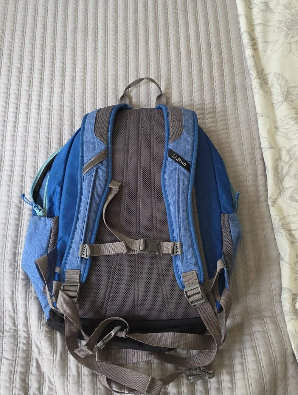 L.L. Bean bean blue